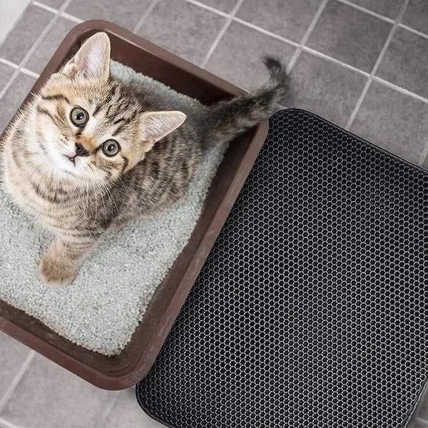 🔥Non-Slip Cat Litter Mat