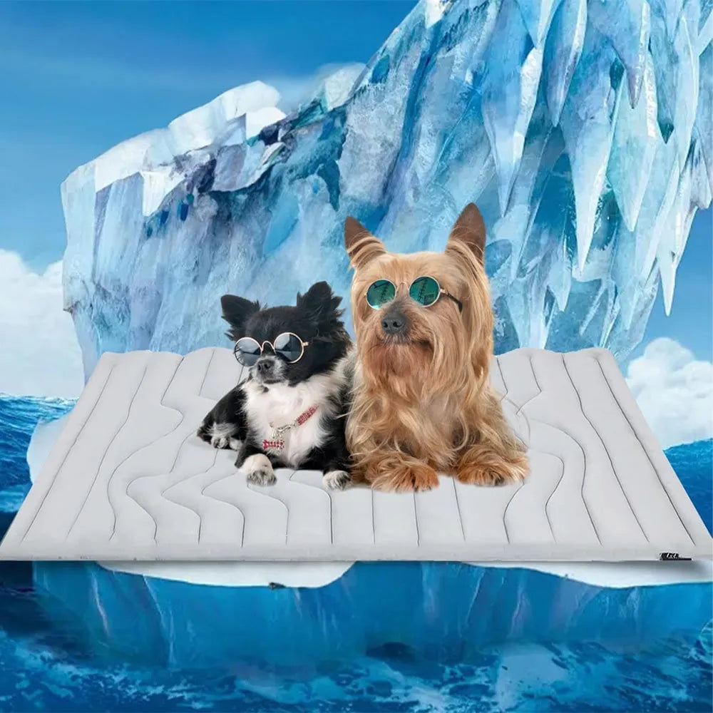 Reversible Cooling Mat for Pets