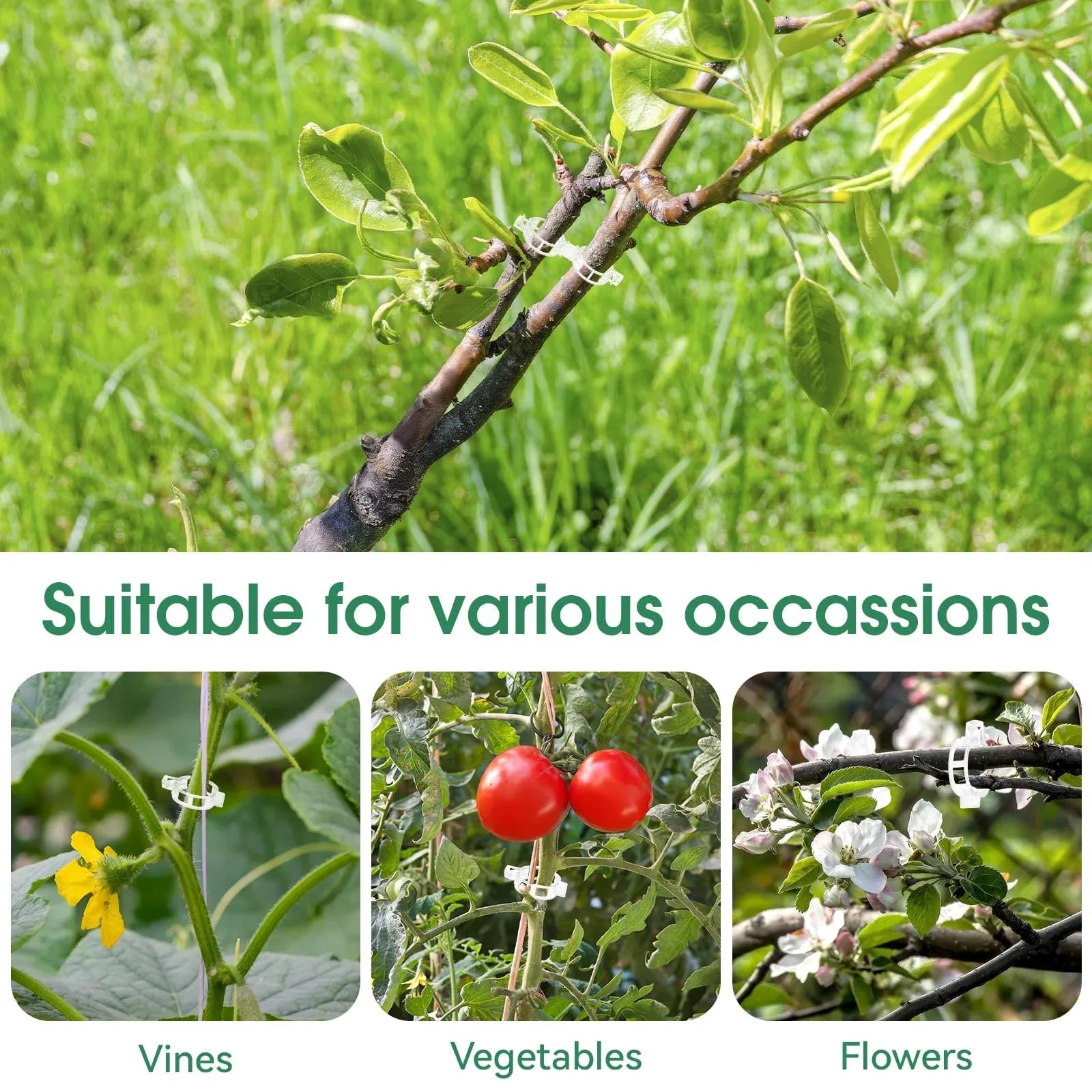 Tomato Clips, Plastic Trellis Clips