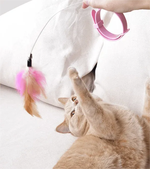 🔥Free hands collar cat teaser stick😻