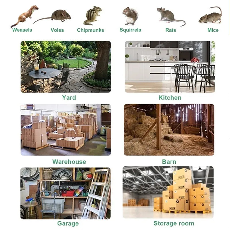 Stainless Steel Automatic Mousetrap