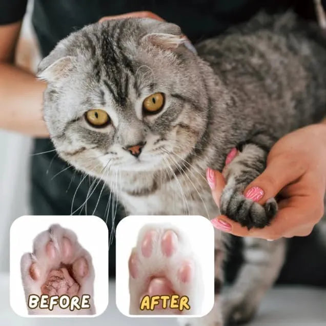 💥Flash Sale🔥Pet Paw Balm Stick