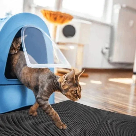 🔥Non-Slip Cat Litter Mat