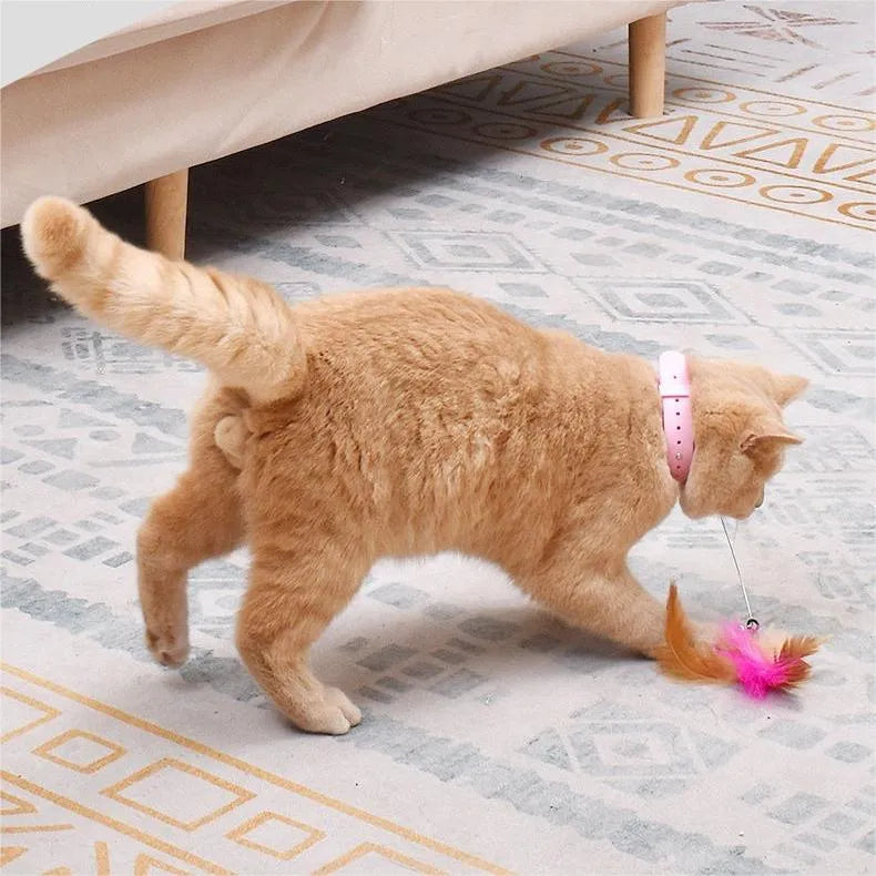 🔥Free hands collar cat teaser stick😻