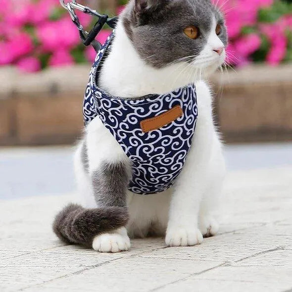 CAT VEST HARNESS AND LEASH SET