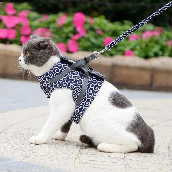 CAT VEST HARNESS AND LEASH SET